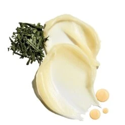 Front Page -Chantecaille || Charlotte Tilbury Shop 682223030226 e08ef4b5 aab5 408a 89c4 8c31e5c3d6dc