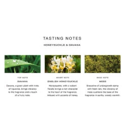 Honeysuckle & Davana Home Candle 7 Honeysuckle & Davana Home Candle -Chantecaille || Charlotte Tilbury Shop 690251063307 5Ealt2