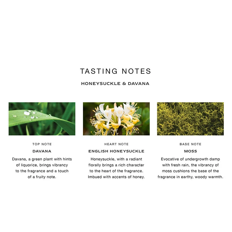 Honeysuckle & Davana Home Candle 5 Honeysuckle & Davana Home Candle - Image 3