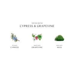 Cypress & Grapevine Cologne Intense -Chantecaille || Charlotte Tilbury Shop 690251122233 alt2