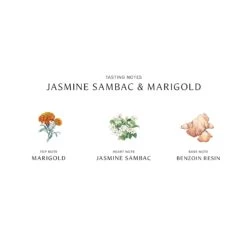 Jasmine Sambac & Marigold Cologne Intense -Chantecaille || Charlotte Tilbury Shop 690251122240 alt2 266e74d7 22f2 427e a0c1 63cffb503fae