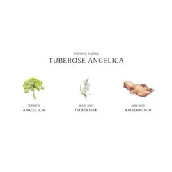 Tuberose Angelica Cologne Intense 12 Tuberose Angelica Cologne Intense -Chantecaille || Charlotte Tilbury Shop 690251122271 alt2