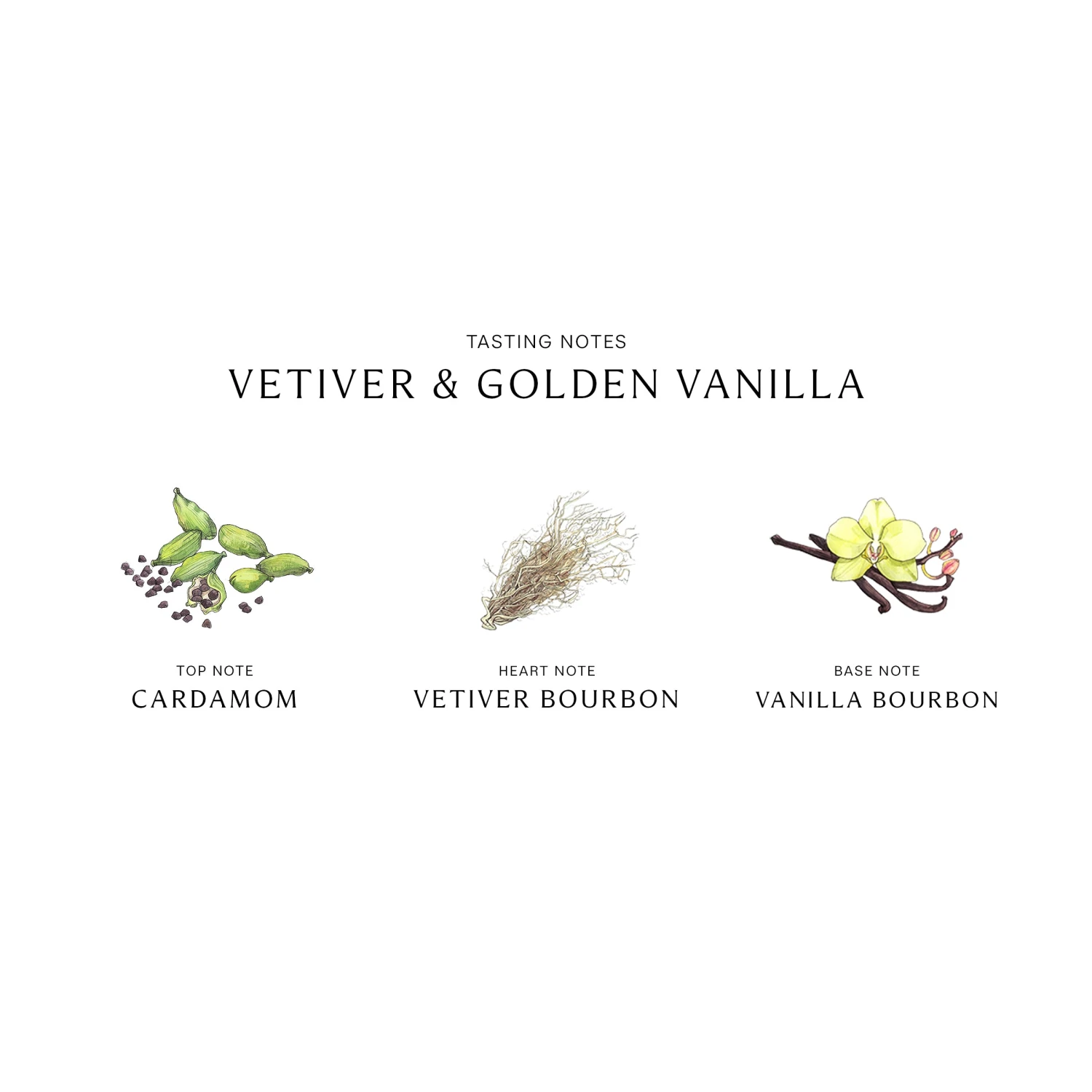 Vetiver & Golden Vanilla Cologne Intense 7 Vetiver & Golden Vanilla Cologne Intense - Image 5