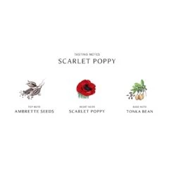 Scarlet Poppy Cologne Intense -Chantecaille || Charlotte Tilbury Shop 690251126668 alt2
