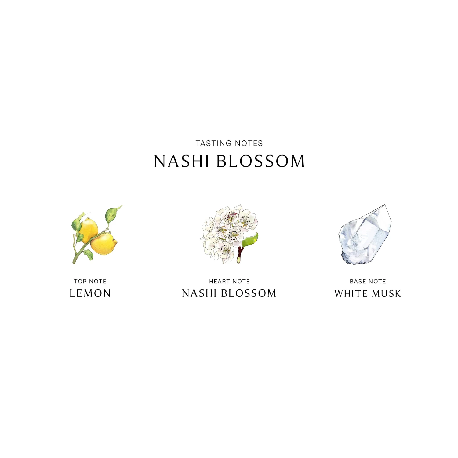 Limited Edition Nashi Blossom Cologne 7 Limited Edition Nashi Blossom Cologne - Image 5