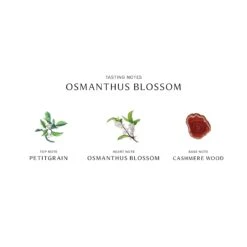 Limited Edition Osmanthus Blossom Cologne 13 Limited Edition Osmanthus Blossom Cologne -Chantecaille || Charlotte Tilbury Shop 690251128358 alt3