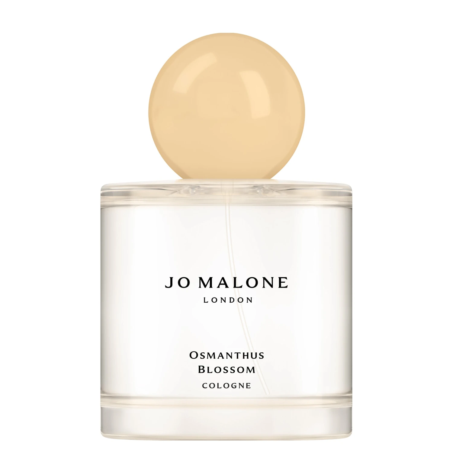 Limited Edition Osmanthus Blossom Cologne 5 Limited Edition Osmanthus Blossom Cologne - Image 3