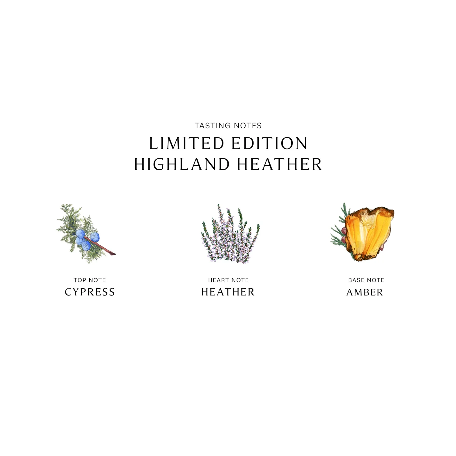 Limited Edition Highland Heather Cologne 5 Limited Edition Highland Heather Cologne - Image 3