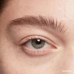 Bobbi Brown Natural Brow Shaper 36 Bobbi Brown Natural Brow Shaper -Chantecaille || Charlotte Tilbury Shop 716170275994 alt2