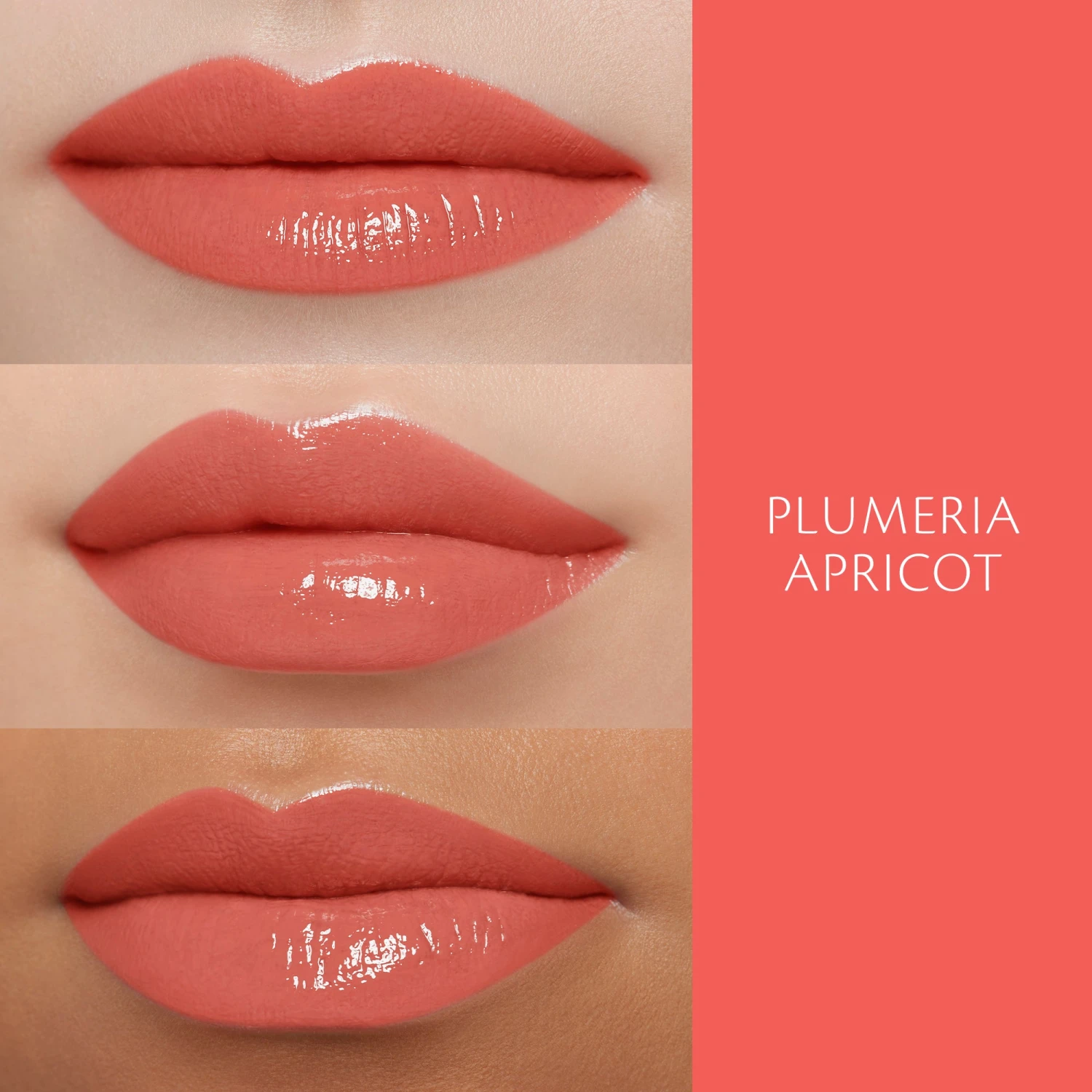 Cream Rouge Shine 11 Cream Rouge Shine - Image 9