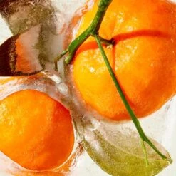 Water-Lock Moisturizer 10 Water-Lock Moisturizer -Chantecaille || Charlotte Tilbury Shop 813269023143 alt5