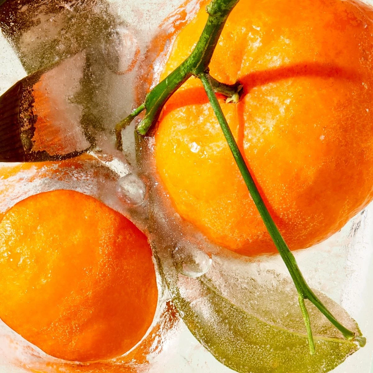 Water-Lock Moisturizer 6 Water-Lock Moisturizer - Image 4