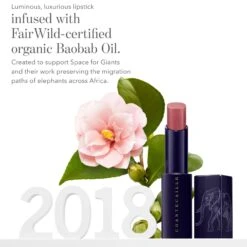 Chantecaille Lip Veil -Chantecaille || Charlotte Tilbury Shop LipVeil alt2