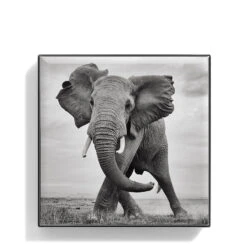 Chantecaille Luminescent Eye Shade -Chantecaille || Charlotte Tilbury Shop WEBP00722001 Q Elephant alt1