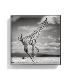 Chantecaille Luminescent Eye Shade -Chantecaille || Charlotte Tilbury Shop WEBP00722001 Q Giraffe alt1