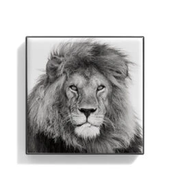 Chantecaille Luminescent Eye Shade -Chantecaille || Charlotte Tilbury Shop WEBP00722001 Q Lion alt1