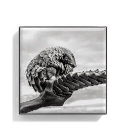 Chantecaille Luminescent Eye Shade -Chantecaille || Charlotte Tilbury Shop WEBP00722001 Q Pangolin alt1