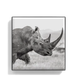 Chantecaille Luminescent Eye Shade -Chantecaille || Charlotte Tilbury Shop WEBP00722001 Q Rhino alt1