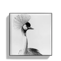 Chantecaille Luminescent Eye Shade -Chantecaille || Charlotte Tilbury Shop webp00722001 q crane alt1